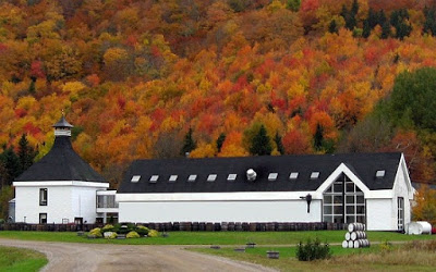 Outside look of a whiskey distillery